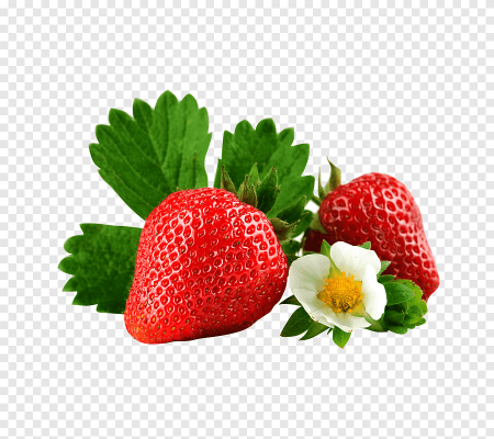 Куст земляники