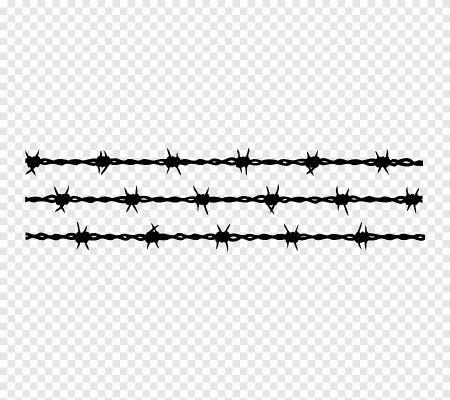Barbed wire Type "Concertina" reinforced barbed Tape CLA D 600/50/3 enclosing barbed wire 50mm - 620 m