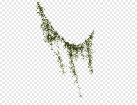 Лианы для фотошопа