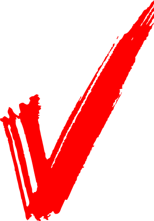 Красная галочка