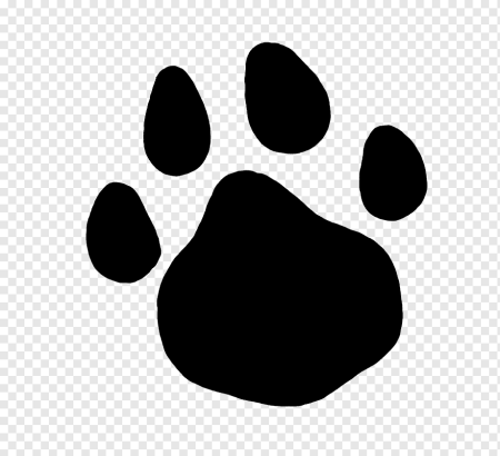 Paw Patrol huellas