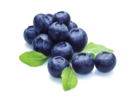 Blueberry вид сверху