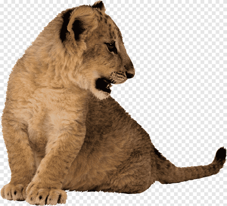 Король Лев Симба