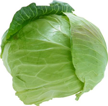 Кочан капусты