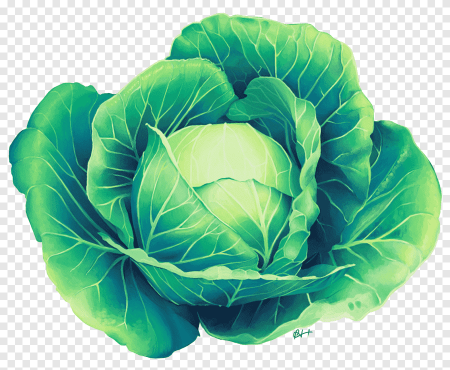 Капуста савойская