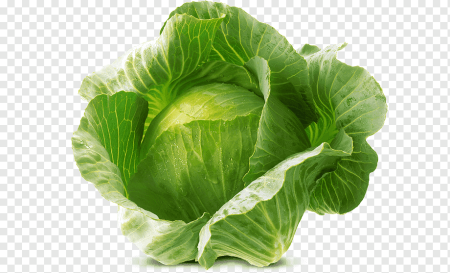 Салат с капустой
