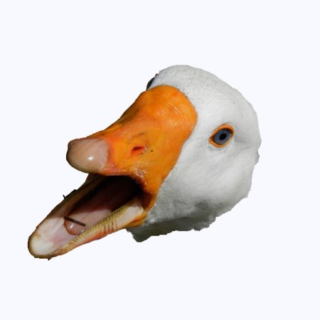 Гусь орет