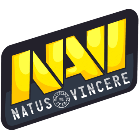 Navi CS go logo