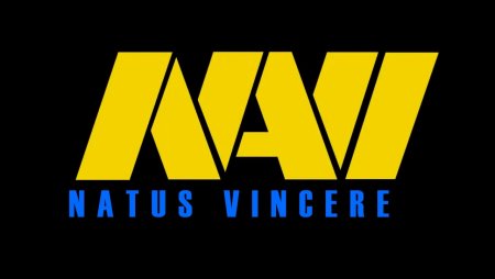 Navi logo PNG
