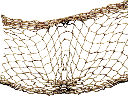 Сетка на прозрачном фоне