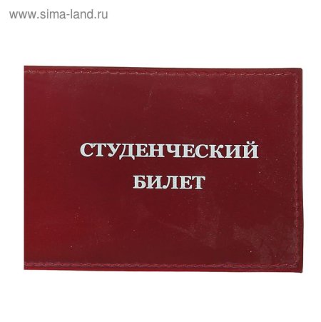 Студенческий билет