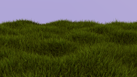 Текстура травы