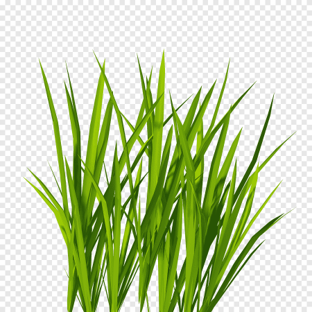 Green Meadow газон