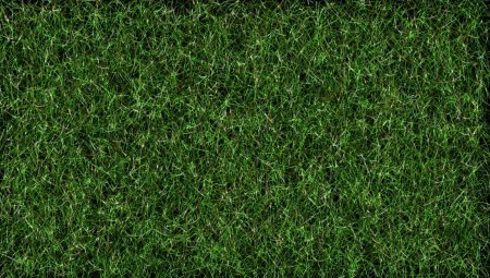Grass texture бесшовная