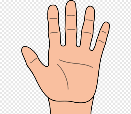Рука PNG