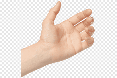 Человеческая рука