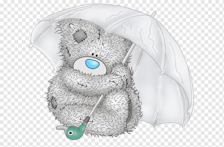 Мишки Tatty Teddy