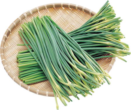 Зеленый лук Leek