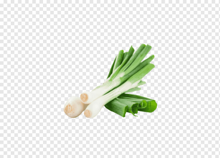 Зеленый лук на прозрачном фоне