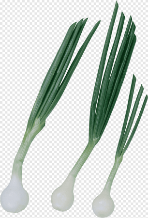 Лук шнитт PNG