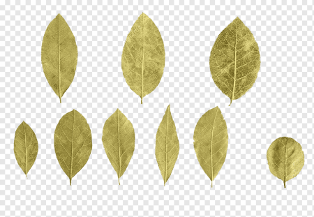 Лавровый лист Laurel Leaf