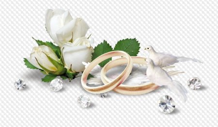 Свадебные голуби с кольцами