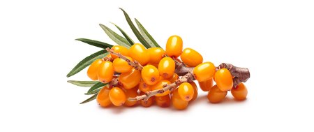 Sea Buckthorn Berries