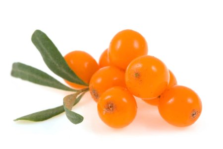Sea Buckthorn Fruit