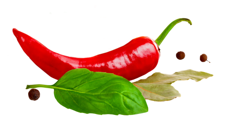 Перец кайенский vector