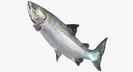 Красная рыба