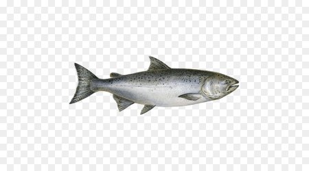 Atlantic Salmon филе лосося