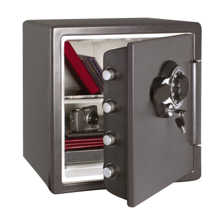 SENTRYSAFE r4132