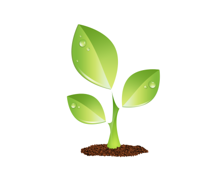 Росток на белом фоне