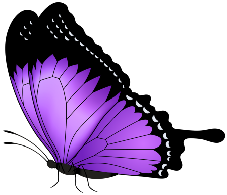 Бабочка на прозрачном фоне вектор (46 фото)
