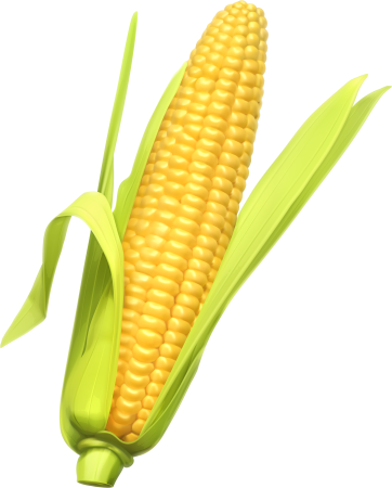 Кукуруза это овощ