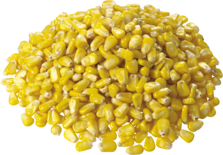 Веселая кукуруза