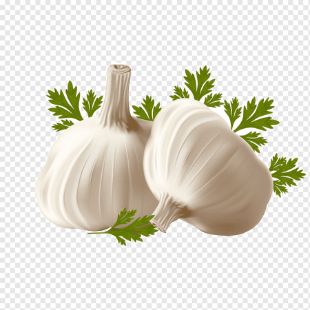 Чеснок без фона