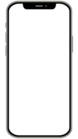 Iphone 12 экран