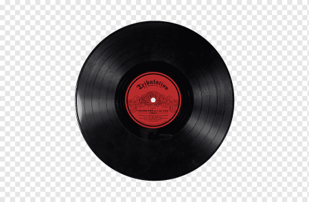 Пластинка Reggie 2 LP