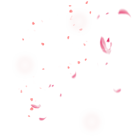 Летящие лепестки