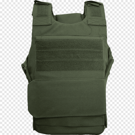 Rothco Molle Plate Carrier Vest