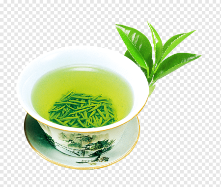 Camellia sinensis Leaf extract