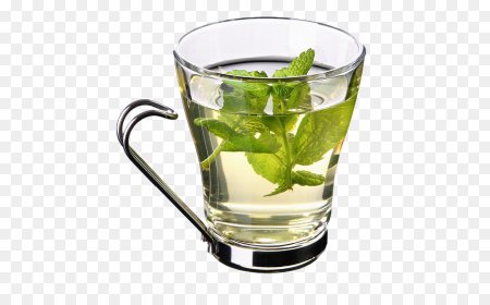 Зеленый чай вектор (49 фото)