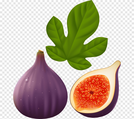 Fig инжир