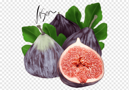 Инжир на белом фоне