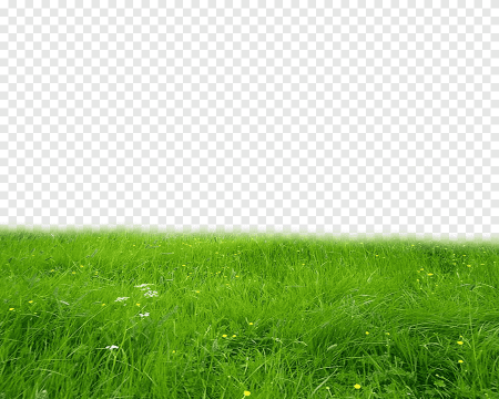 Луг на белом фоне