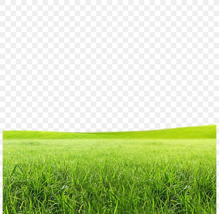 На лужайке