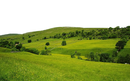 Лето пейзаж холмы на прозрачном фоне