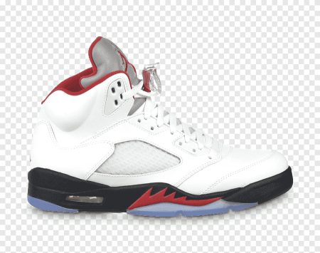 Nike Air Jordan 2010