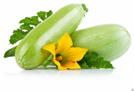 Кабачок овощ
